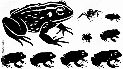 Illustration showing a large frog with smaller frogs and insects in black and white silhouette style