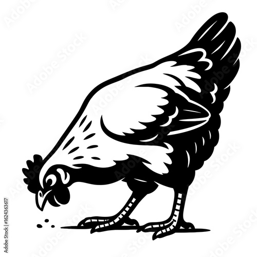 Classic Chicken Pecking at Ground - Farm and Poultry Illustration