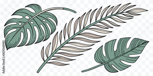 Botanical Illustration of Tropical Leaves Monstera and Palm Frond for Creative Designs and Summer Vibes Projects