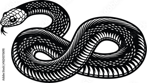 A graphic illustration depicting a coiled snake with intricate patterns and a protruding tongue design art