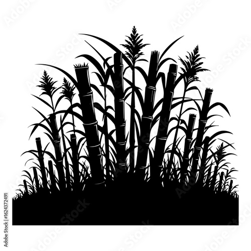 Silhouette of Sugarcane Stalks and Leaves