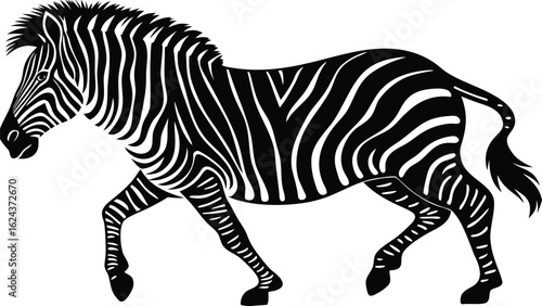 A black and white illustration of a zebra walking with stripes on its body and a flowing mane and tail