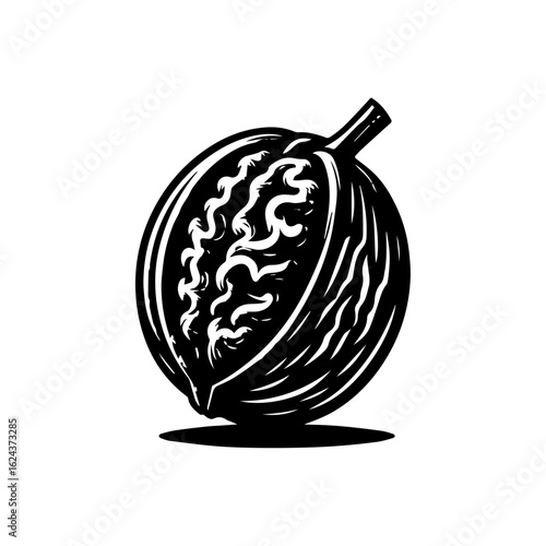 Stylized Black and White Walnut Illustration