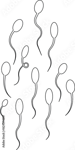 Sperm Icons Vector Set, Collection and Group, Human Reproduction Symbol, Fertility, Medical, Science, Anatomy, Minimal Line Style, Monochrome Silhouette Graphic Bundle for Health and Biology Design