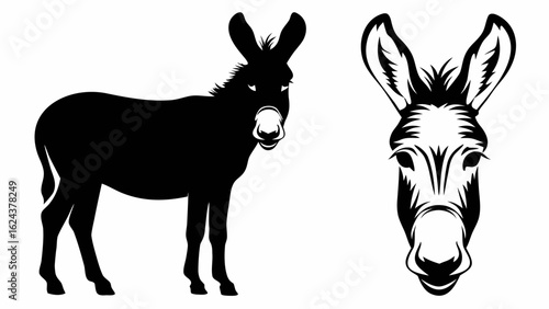 Silhouette of a donkey standing next to a detailed donkey head illustration in black and white style | editable eps vectors