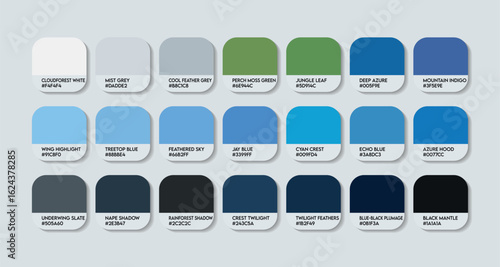 Cyanolyca cucullata Color Palette. Azure hooded jay color Tone Swatch Chart with HEX Codes and Color Names. dark blue and light blue Tones Variants. cayan mix ocean and sky Colors Palette vector