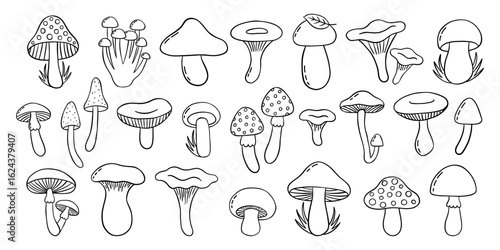 Outline mushrooms doodle big set. Fungi hand drawn sketch of various shapes and sizes isolated on white background. Vector icon