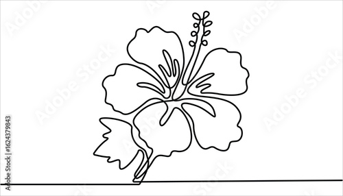 Hibiscus flower in one line art drawing style. Black line sketch on white background. Vector illustration, Hibiscus flower in one continuous line drawing. Floral abstract symbol in simple linear style