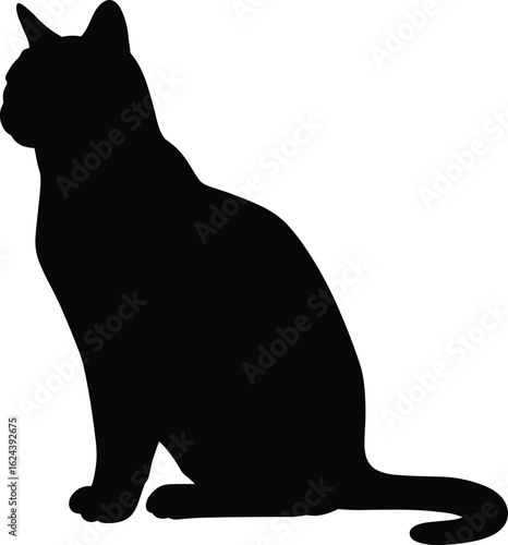Silhouette of a Sitting Pet Mammal with Tail, Isolated on Background, Vector Drawing Art for Animal Lovers