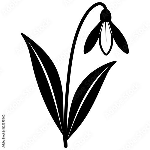 Simple black snowdrop flower with leaves and stem, isolated on white background