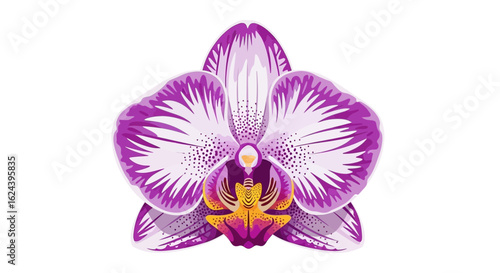 Purple Orchid Flower – Exotic Botanical Vector Illustration

