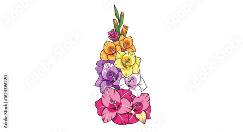Colorful Gladiolus Flower Spike Vector Illustration on White Background
