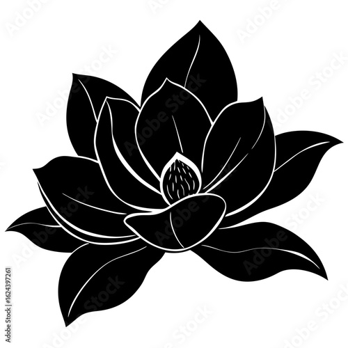 Black silhouette of a magnolia flower isolated on a white background, representing elegance and natural beauty