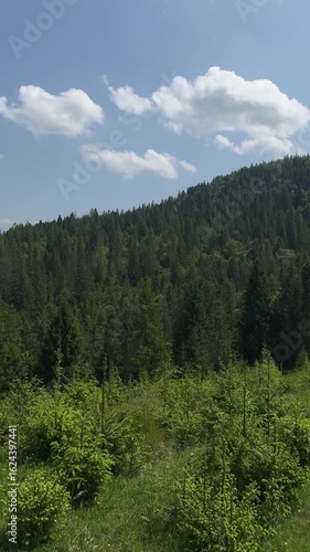 Wallpaper Mural view of the mountains with green trees on them Torontodigital.ca