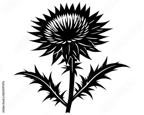 Wallpaper Mural Black and white silhouette of a thistle flower with spiky petals and leaves, isolated on white background Torontodigital.ca
