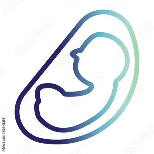 Line Gradient Fetus In Womb