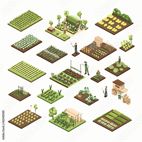 Isometric organic vegetable garden plots with farmers, greenhouse, irrigation, and crop variety farming in flat minimalist vector style for sustainable agriculture concept
