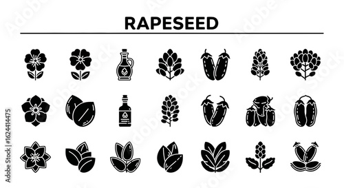 Rapeseed Crop Icons: Solid Black Glyphs for Agriculture & Oil