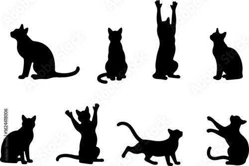Cat Silhouettes in Various Sitting and Playing Poses