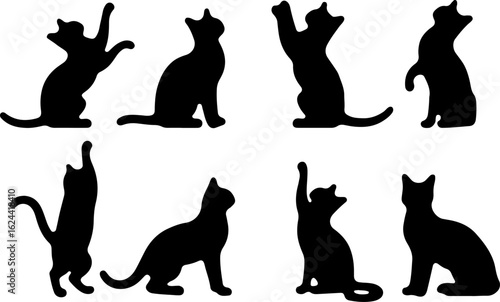 Cat Silhouettes in Various Sitting and Playing Poses