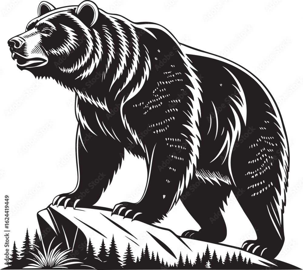 Obraz premium Grizzly bear standing on rocky outcrop black and white