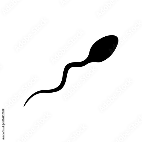 spermatozoon