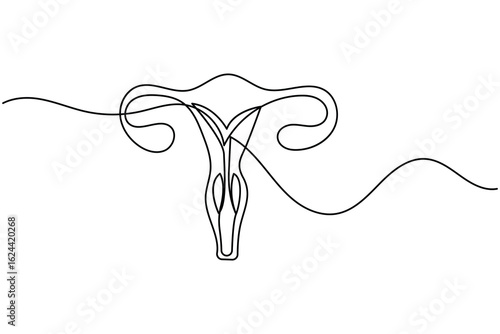 Minimalist one line drawing of a human uterus with fallopian tubes. Modern medical anatomy concept