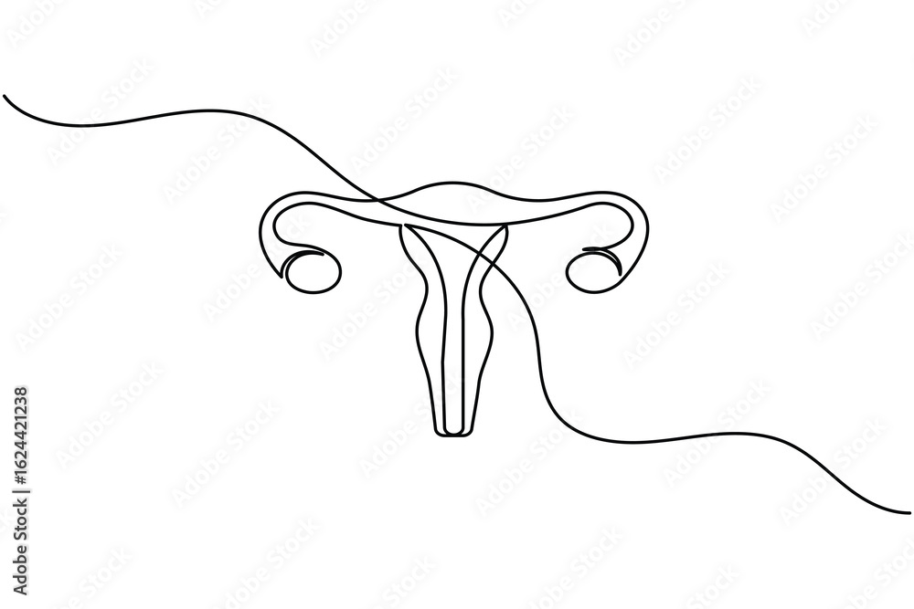 Fototapeta premium Minimalist one line drawing of a human uterus with fallopian tubes. Modern medical anatomy concept