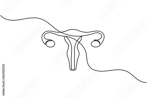 Minimalist one line drawing of a human uterus with fallopian tubes. Modern medical anatomy concept