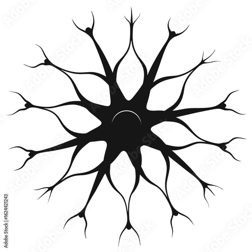 Stylized top down view of a single neuron