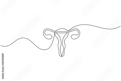 Minimalist one line drawing of a human uterus with fallopian tubes. Modern medical anatomy concept