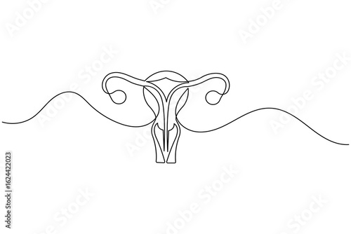 Minimalist one line drawing of a human uterus with fallopian tubes. Modern medical anatomy concept
