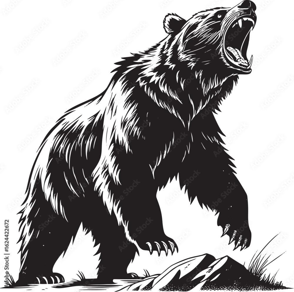 Obraz premium Roaring bear with sharp teeth and claws aggressive