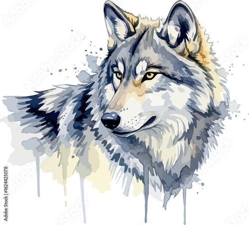 water colour illustration of a wolf face in isolated on white background