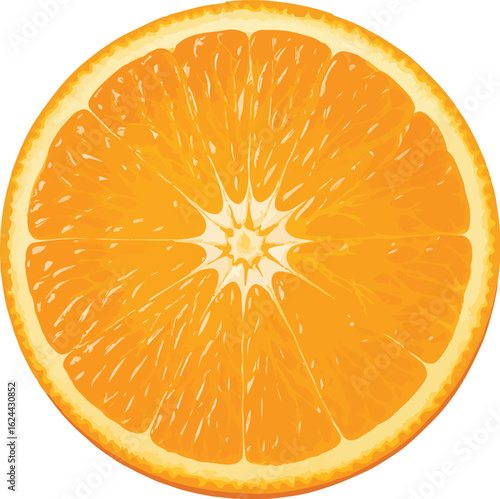 Orange slice with bright yellow pith and juicy segments