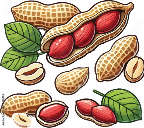 Peanut illustration with shells and leaves peanuts