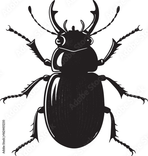 Black beetle with large mandibles and spiky legs insect