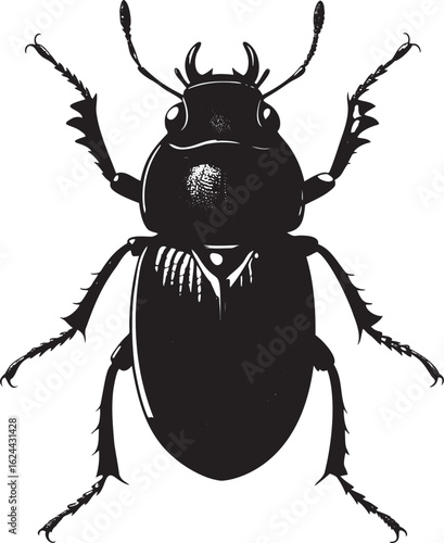 Black beetle with spiky legs and horns insect white