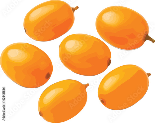 Six bright orange sea buckthorn berries fruit healthy