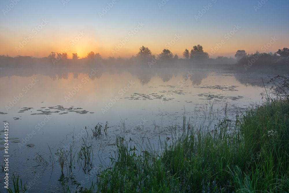 Obraz premium awesome foggy sunrise over the river with reflections tree in the water