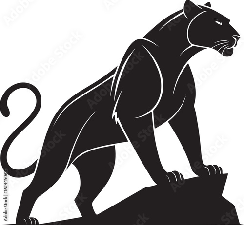 Black panther standing on rock big cat wild animal