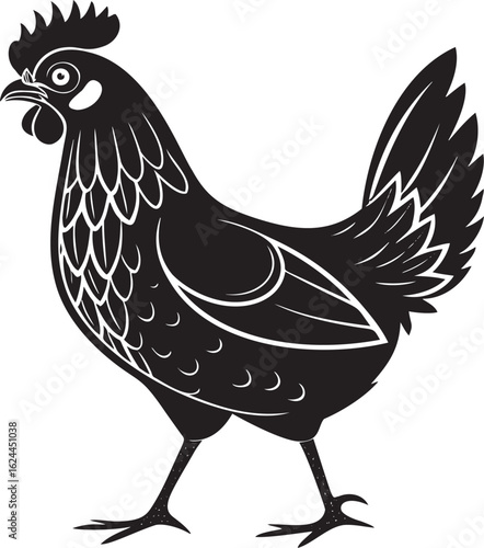 Black rooster detailed silhouette chicken bird