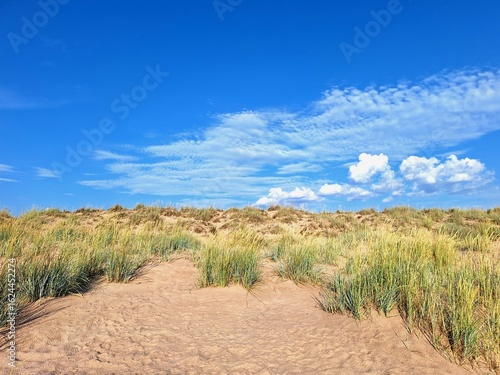 Wallpaper-style image of dunes at Yyteri beach, Pori, Finland