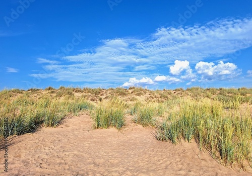 Dry summer dunes at Yyteri Beach, Pori, Finland