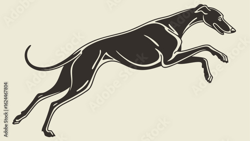 horse vector illustration