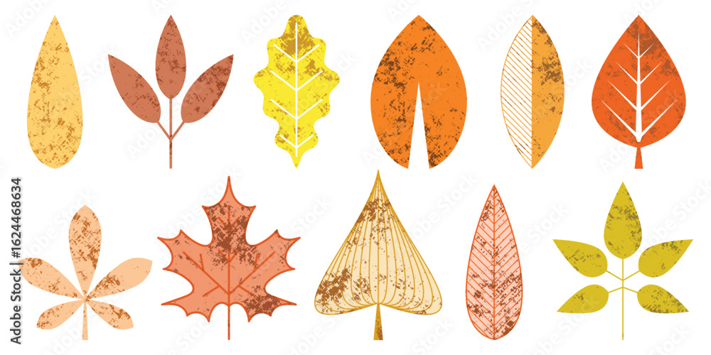 Obraz premium Set stylized geometric leaves, autumn leaves, isolated silhouette on white background, vector design