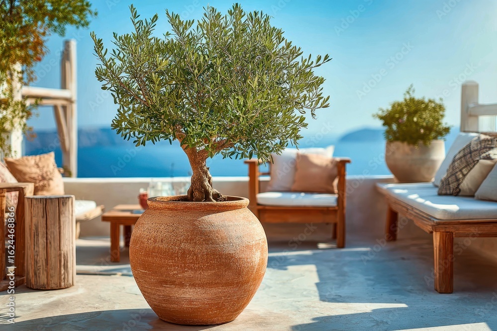 Obraz premium Olive tree in terracotta pot on a sunny patio with sea view. Perfect for travel, landscaping, or Mediterranean lifestyle content.