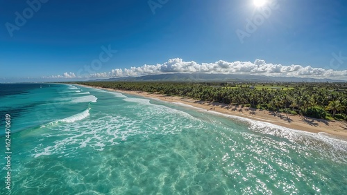 Fototapeta Naklejka Na Ścianę i Meble -  Top-down shot of a beach with clear waters