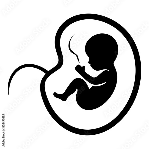 Baby fetus in womb silhouette with small features surrounded by amniotic sac, showing peaceful prenatal development. Concept of baby fetus in womb used for pregnancy health and education.
