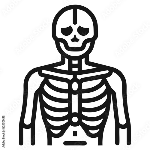 human skull vector illustration